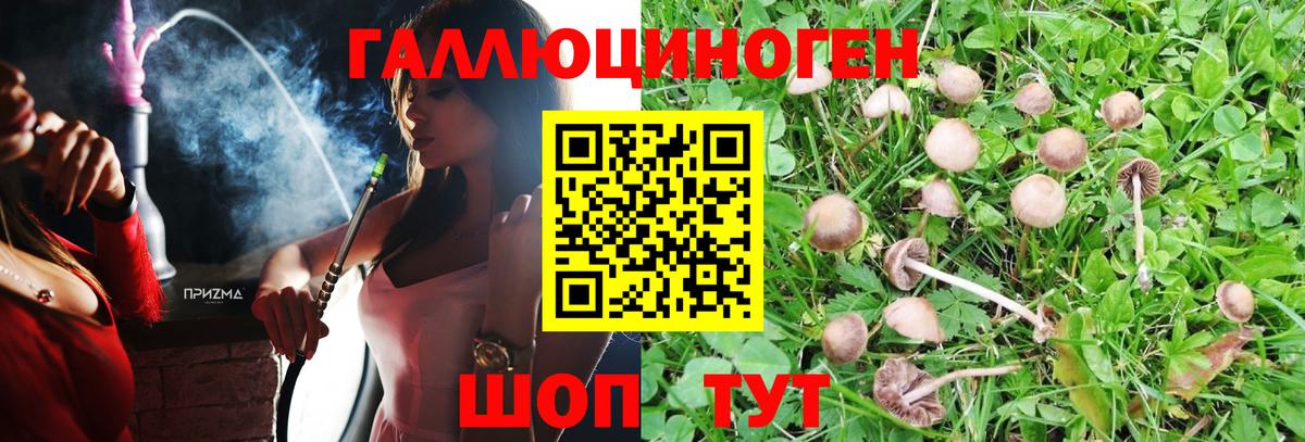 Кыштым  цены наркотик  Галлюциногенные грибы Magic Shrooms  Вход с VPN  Псилоцибиновые грибы MAGIC MUSHROOMS 