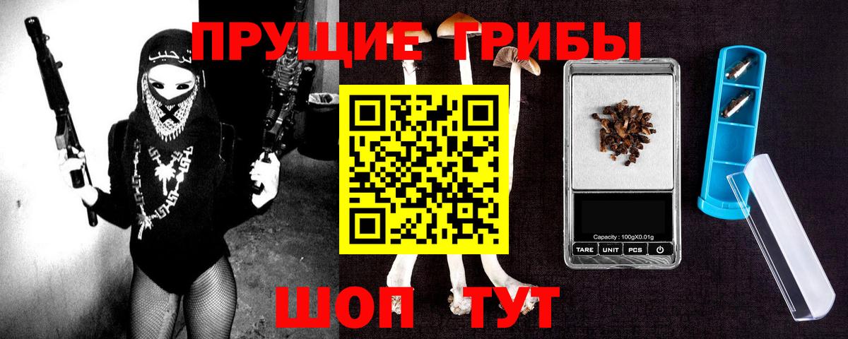 Псилоцибиновые грибы GOLDEN TEACHER Кыштым